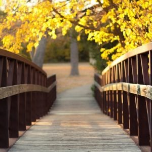 Crossing Over